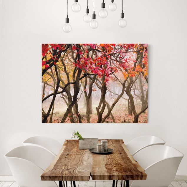 Wandbilder Bäume Japan im Herbst