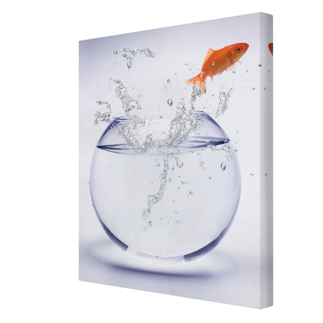 Wandbilder Tiere One Flying Goldfish