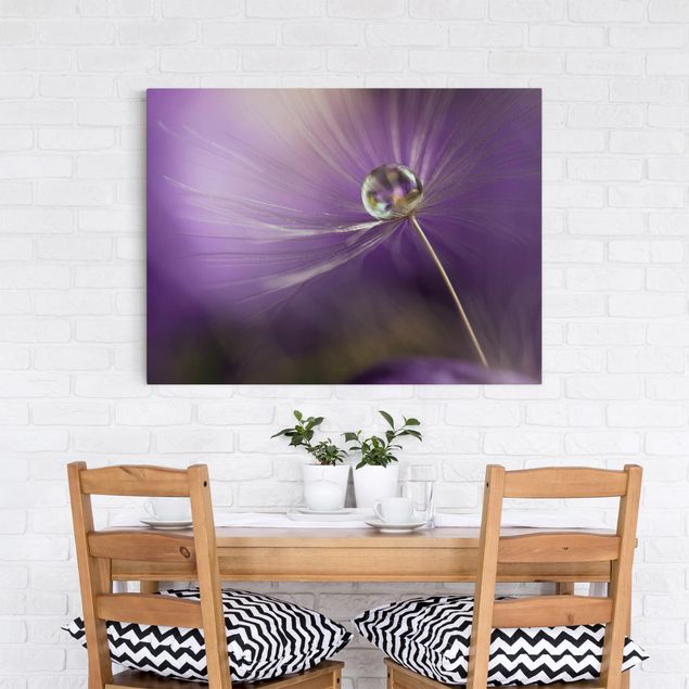 Blumenbilder auf Leinwand Pusteblume in Violett