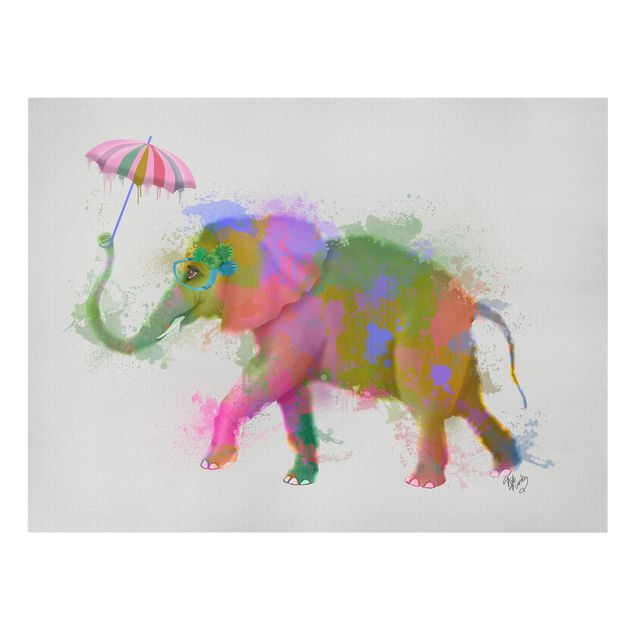 Wandbilder Modern Regenbogen Splash Elefant