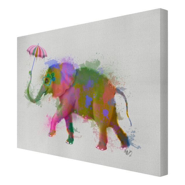 Wandbilder Tiere Regenbogen Splash Elefant