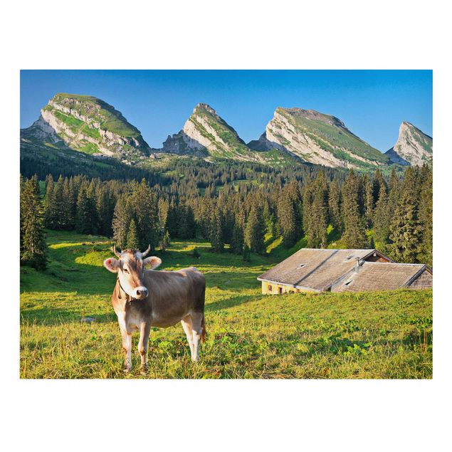 Wandbilder Berge Schweizer Almwiese mit Kuh