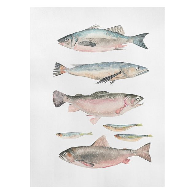 Wandbilder Modern Sieben Fische in Aquarell I