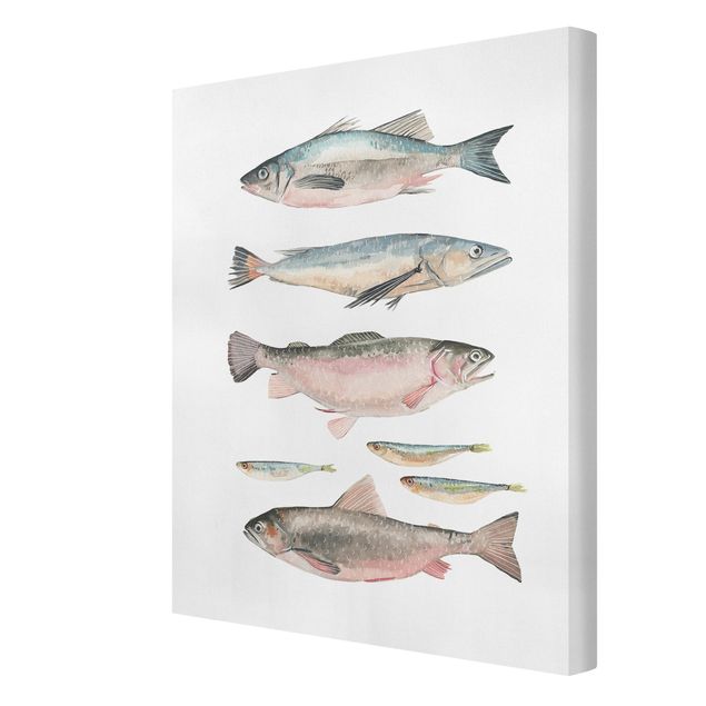 Wandbilder Tiere Sieben Fische in Aquarell I