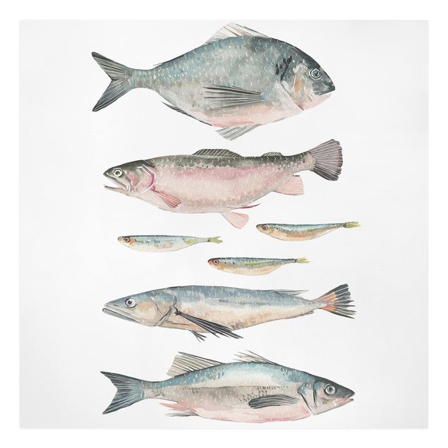 Wandbilder Modern Sieben Fische in Aquarell II