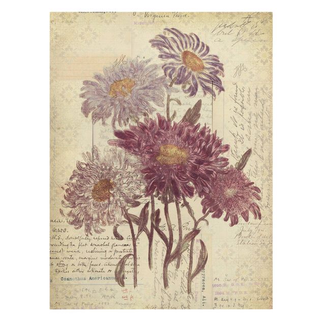schöne Bilder Vintage Blumen mit Handschrift