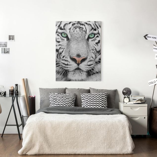 Leinwandbilder Tiger Weißer Tiger