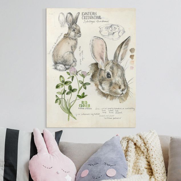 Leinwandbilder Blumen Wildnis Journal - Kaninchen