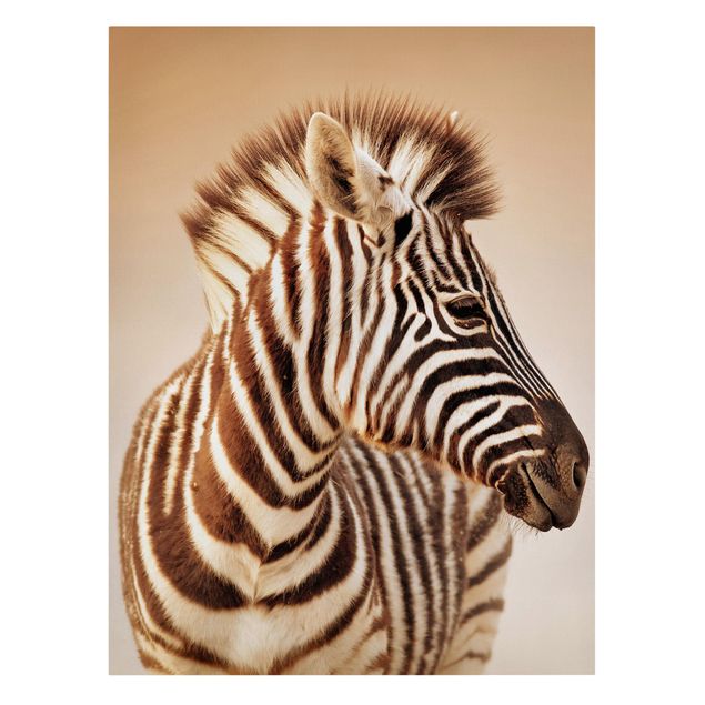 Leinwandbilder Tiere Zebra Baby Portrait