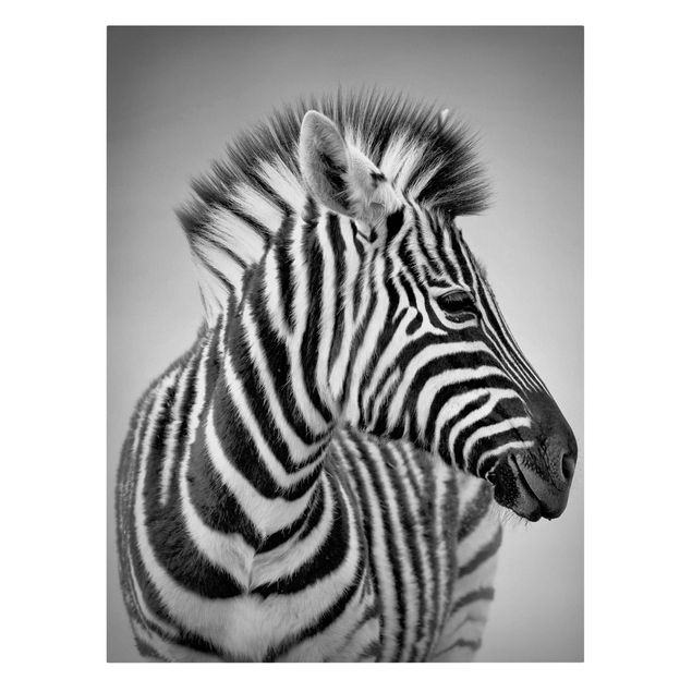 Tierbilder Leinwand Zebra Baby Portrait II