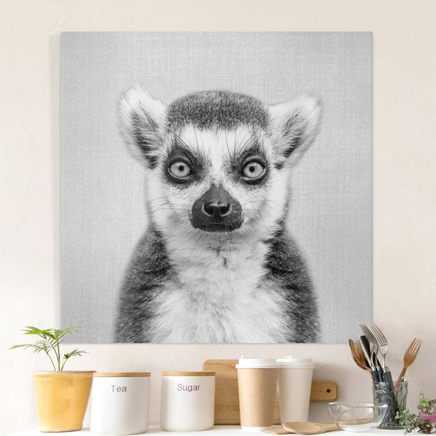 Leinwandbild Affe Lemur Ludwig Schwarz Weiß
