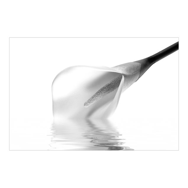 Fototapete - Liquid Calla Schwarz-Weiß - Querformat