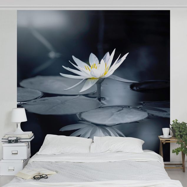 Wanddeko Küche Lotus Spiegelung im Wasser