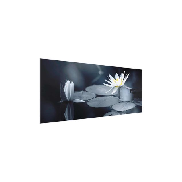 Wandbilder Floral Lotus Spiegelung im Wasser