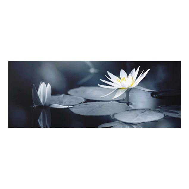 Wandbilder Blumen Lotus Spiegelung im Wasser
