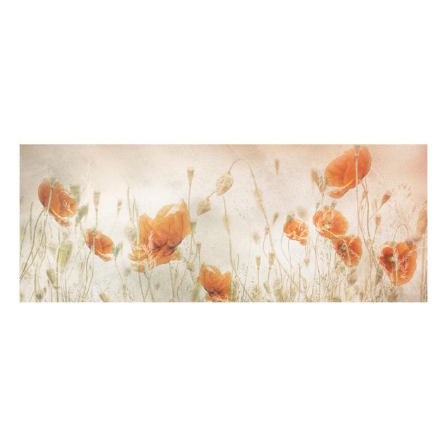 Wandbilder Floral Mohnblumen und Gräser im Feld