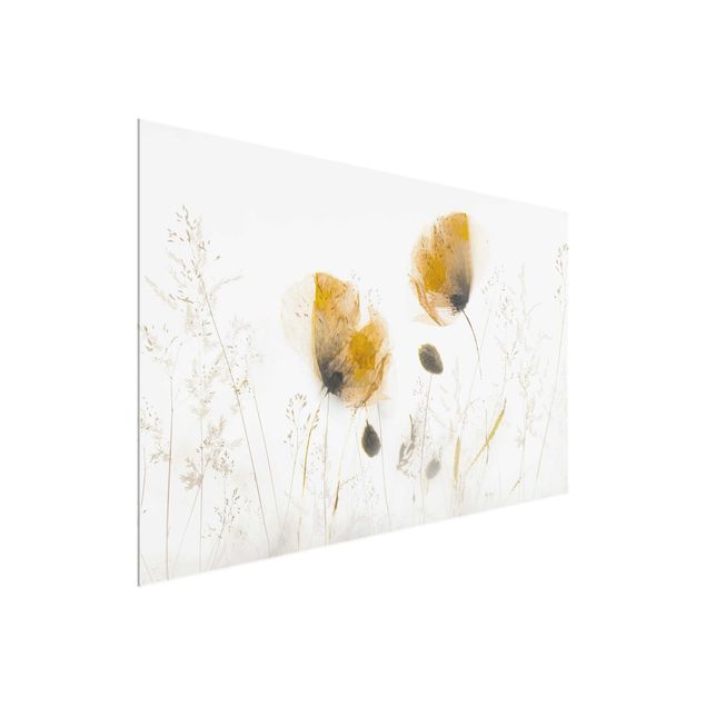 Blumen Glasbilder Mohnblumen und zarte Gräser im weichen Nebel