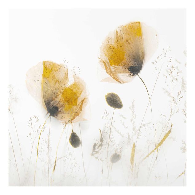 Wandbilder Floral Mohnblumen und zarte Gräser im weichen Nebel
