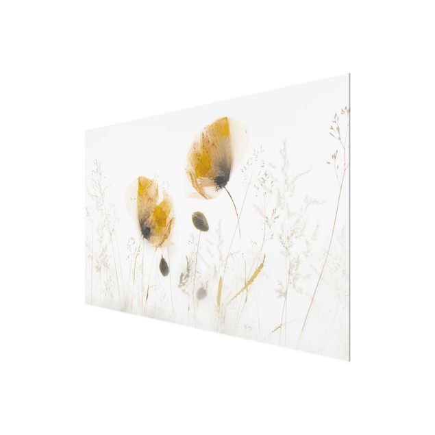 Wandbilder Blumen Mohnblumen und zarte Gräser im weichen Nebel