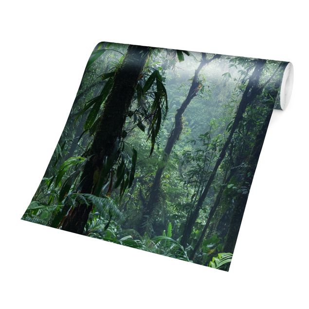 Fototapeten Grün Monteverde Nebelwald