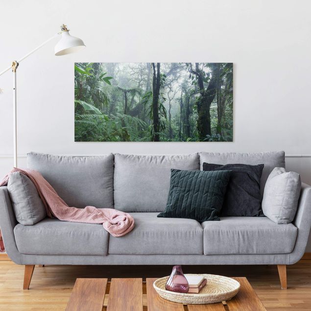 Wandbilder Landschaften Monteverde Nebelwald