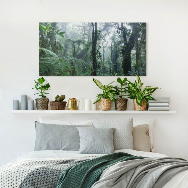Wandbilder Dschungel Monteverde Nebelwald