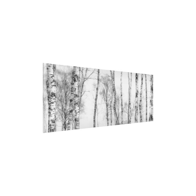 schwarz weiß Glasbilder Mystischer Birkenwald Schwarz-weiß