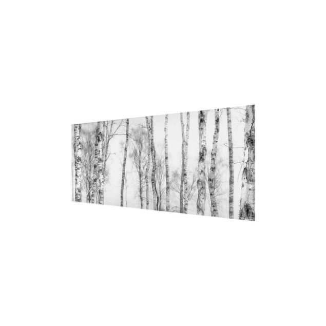 Wandbilder Natur Mystischer Birkenwald Schwarz-weiß