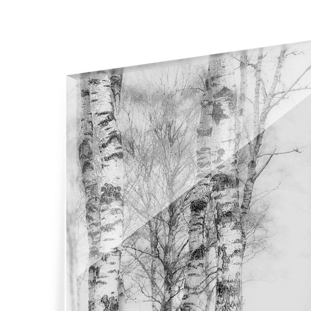 Wandbilder Schwarz-Weiß Mystischer Birkenwald Schwarz-weiß