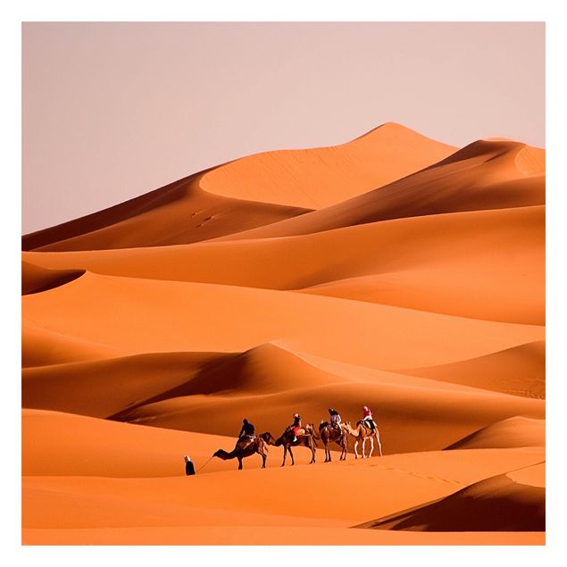 Fototapete orange Namib Desert