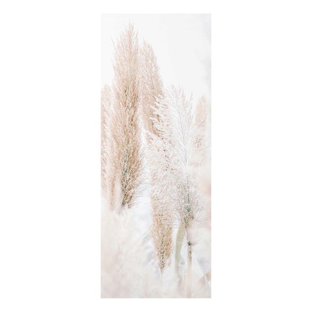 Monika Strigel Bilder Pampasgras im Weißen Licht