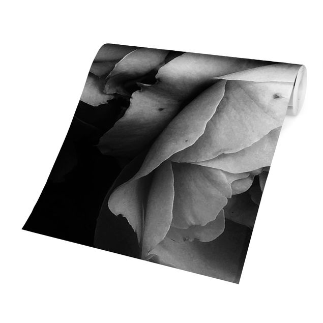 Blumentapete Pfingstrosen vor Schwarz Shabby Schwarz-Weiß