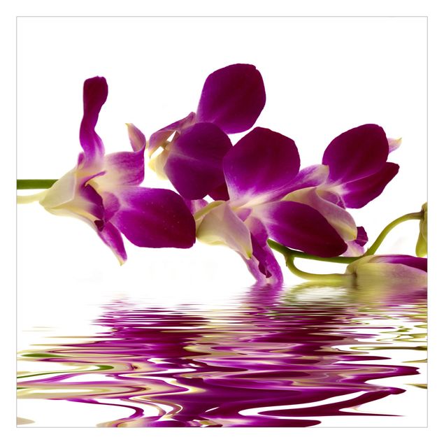 Fototapete - Pink Orchid Waters