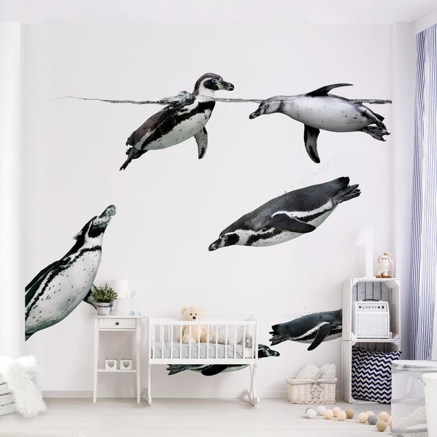 moderne Fototapete Planschende Pinguine