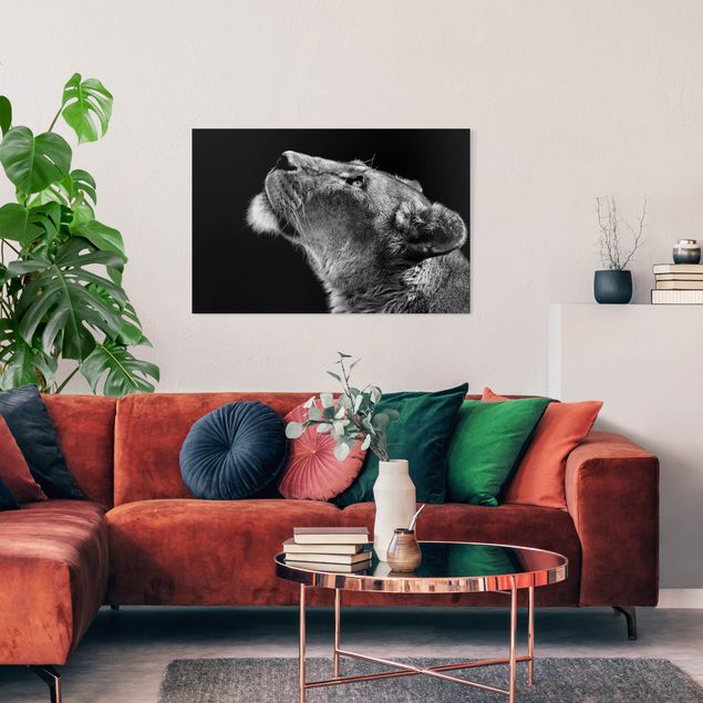 Leinwandbilder schwarz-weiß Portrait einer Löwin