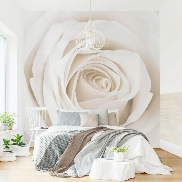 Küche Dekoration Pretty White Rose