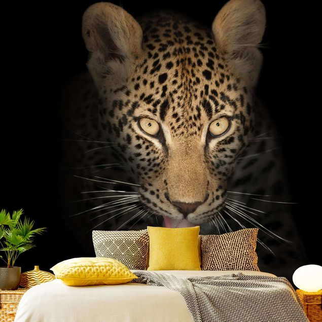 moderne Fototapete Resting Leopard
