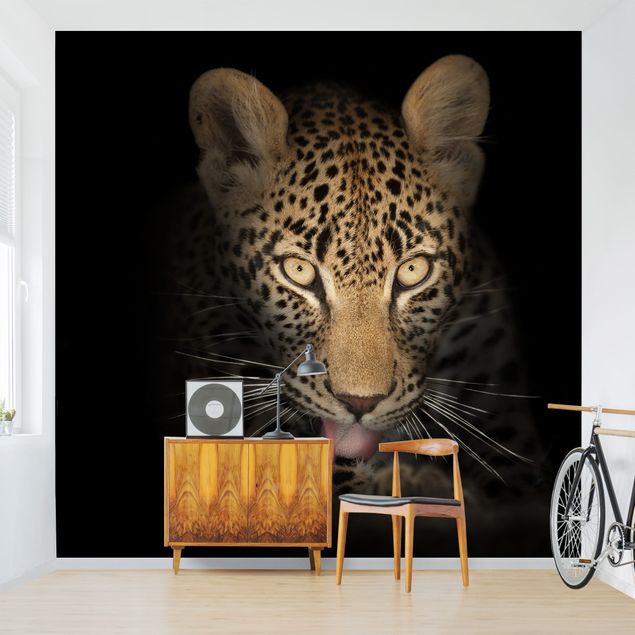 Fototapete Schwarz-Weiß Resting Leopard