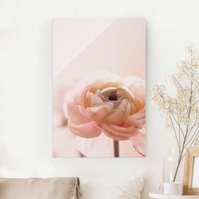 Glasbilder Rose Rosa Blüte im Fokus