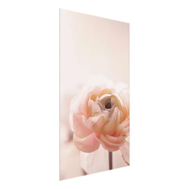 Wandbilder Floral Rosa Blüte im Fokus