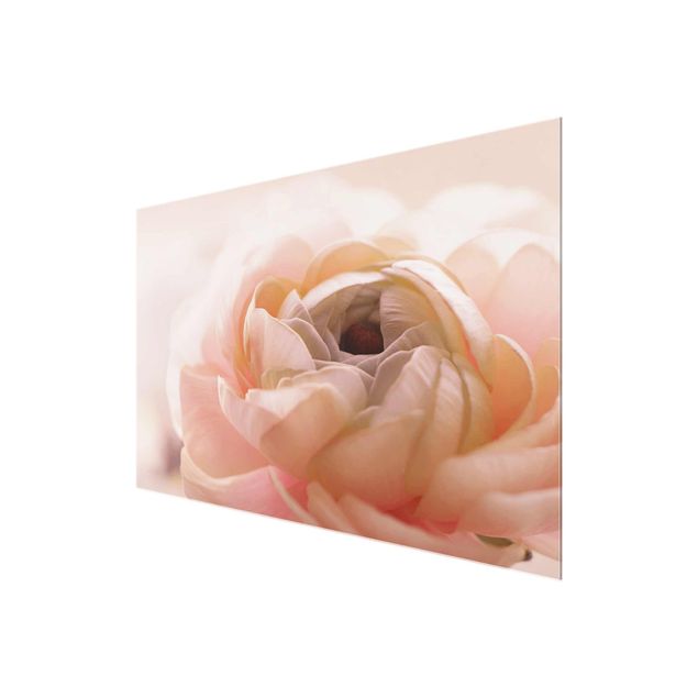 Wandbilder Rosa Rosa Blüte im Fokus