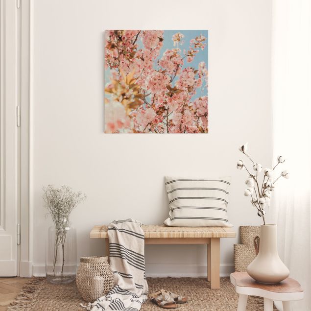 Wandbilder Floral Rosa Kirschblütentraum