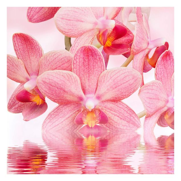 Fototapete - Rosa Orchideen auf Wasser