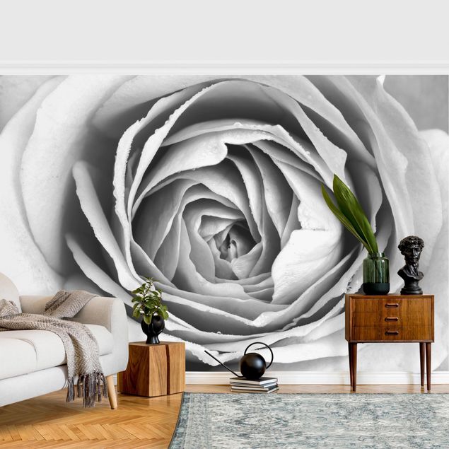 Tapeten Modern Rosa Rosenblüte Schwarz-Weiß