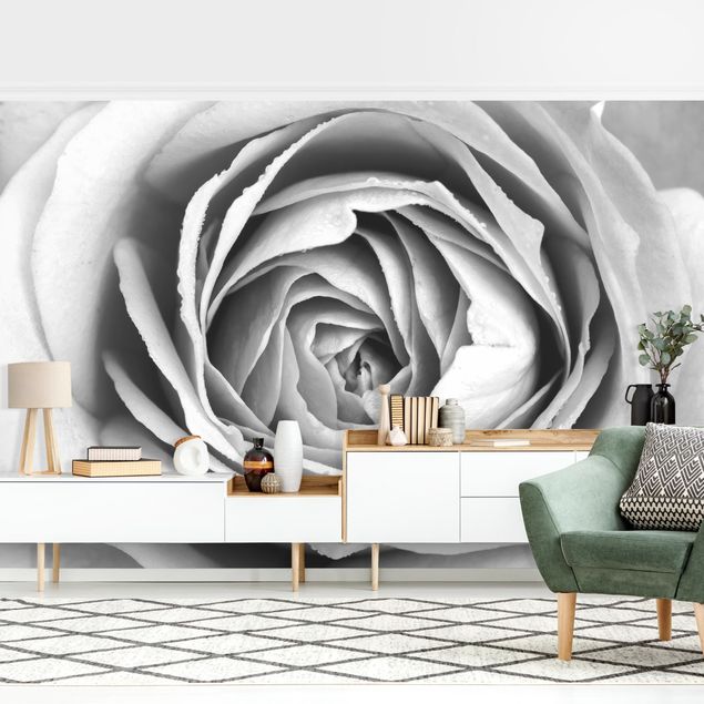 Tapete Landhausstil Rosa Rosenblüte Schwarz-Weiß