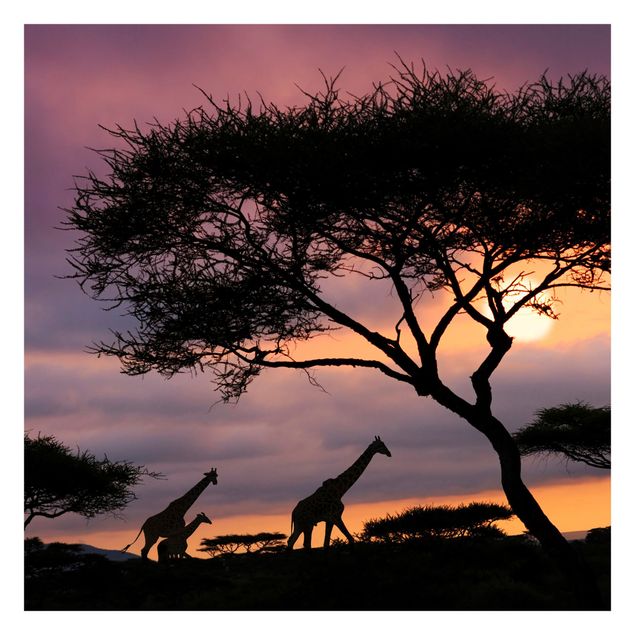 moderne Fototapete Safari in Afrika