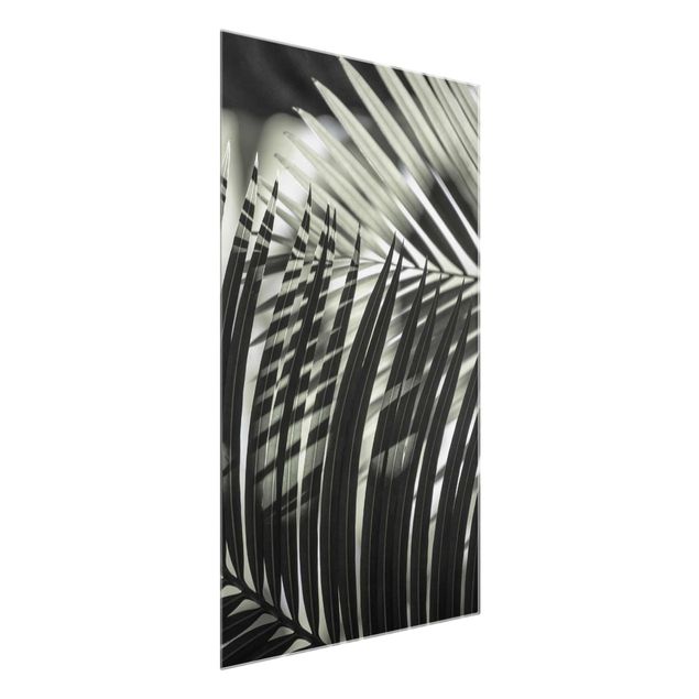 Wandbilder Floral Schattenspiel auf Palmenwedel