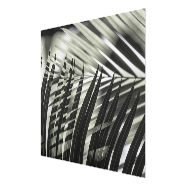 Wandbilder Grün Schattenspiel auf Palmenwedel