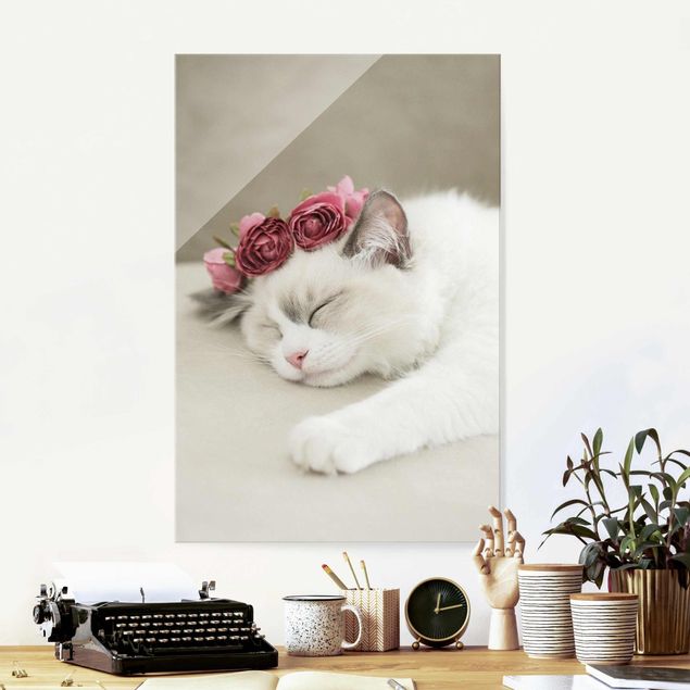 Glasbilder Rosen Schlafende Katze mit Rosen