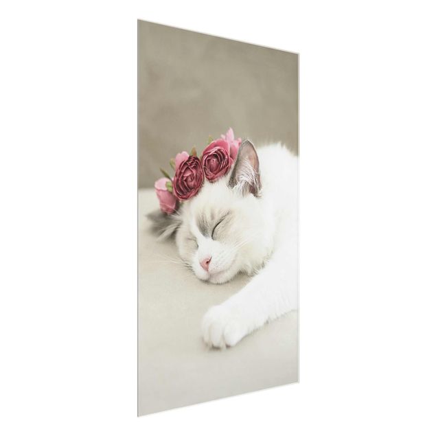 Glasbilder Blumen Schlafende Katze mit Rosen
